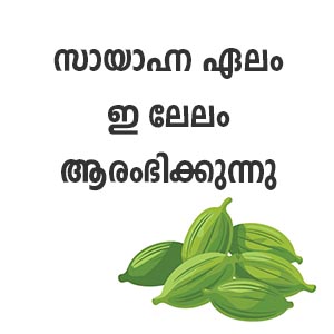 ഡീലർമാർക്കായി  സ്പൈസസ് ബോർഡ്    സായാഹ്ന ഏലം ഇ-ലേലം ആരംഭിക്കുന്നു 