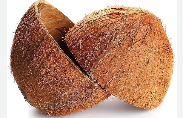 അടുക്കളയിലെ 'കറുത്ത സ്വർണം'; ചിരട്ടയ്ക്ക് വിപണിയിൽ വൻ ഡിമാൻഡ്