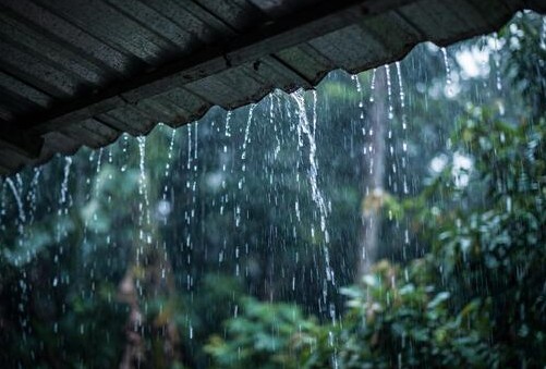 ഡോൾഫിൻ ചുഴലിക്കാറ്റിൻ്റെ സ്വാധീനം: കേരളത്തിൽ വീണ്ടും മഴ ശക്തമാകുന്നു | Impact of Cyclone Dolphin: Rains intensify again in Kerala