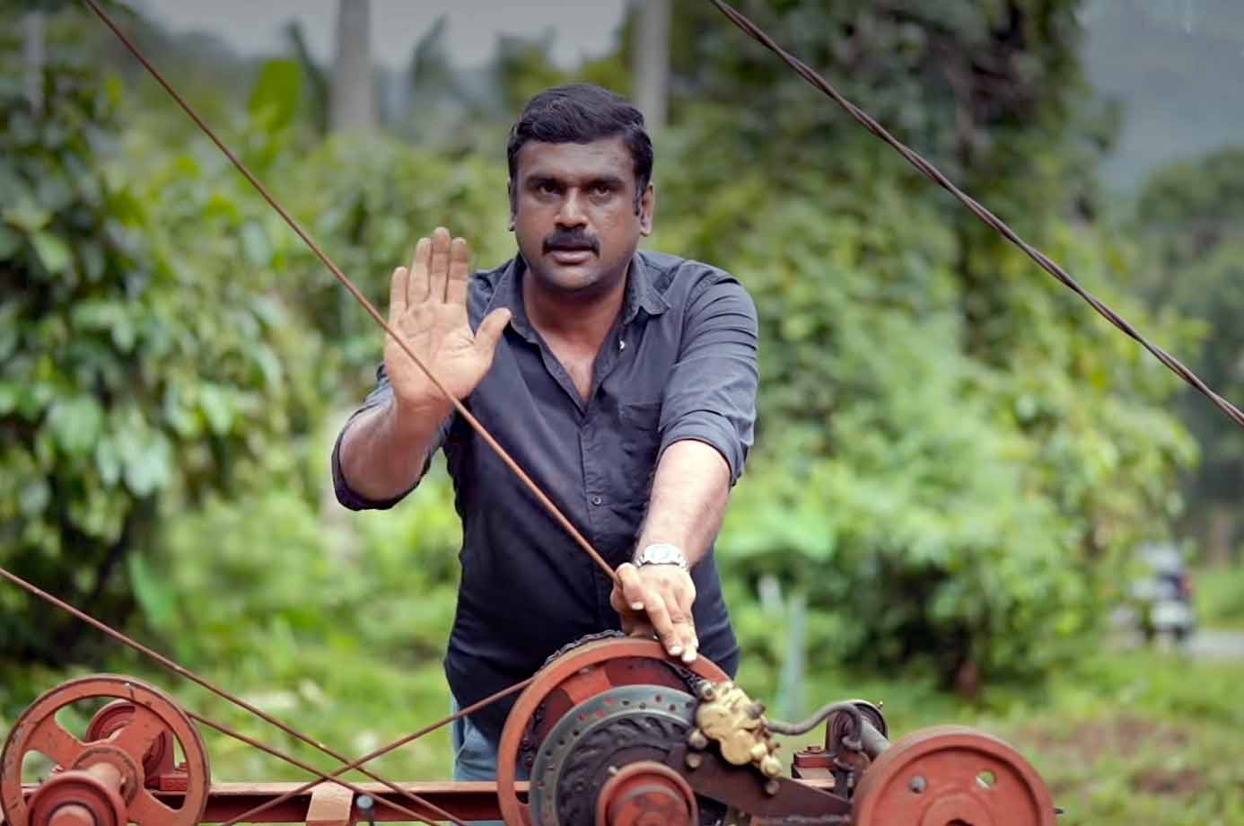 ഇടുക്കിയിൽ അവക്കാഡോ വിപ്ലവവുമായി അനീഷ് ബേബി; വിളവെടുക്കാൻ 'റോപ്പ് വേ' സംവിധാനം