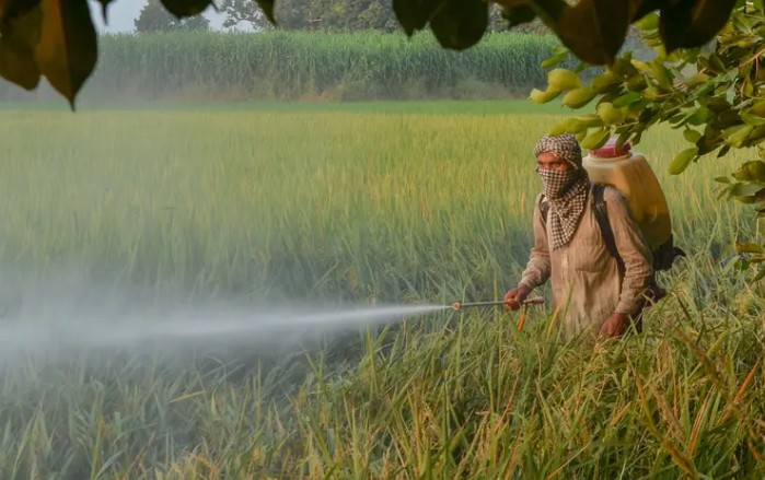 മനുഷ്യർക്കും പരിസ്ഥിതിക്കും കടുത്ത ഭീഷണി; മാരക കീടനാശിനിയായ കാർബോസൾഫാൻ നിരോധിക്കാൻ കേന്ദ്ര സർക്കാർ