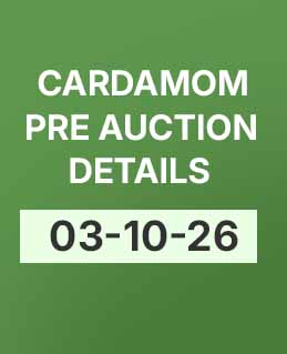 Cardamom Today’s Pre-Auction Details (03-10-26)