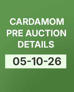 Cardamom Today’s Pre-Auction Details (05-10-26)