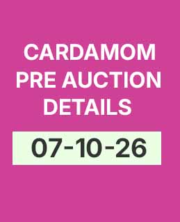 Cardamom Today’s Pre-Auction Details (7-10-26)