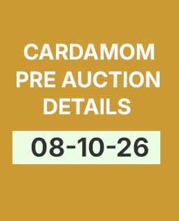 Cardamom Today’s Pre-Auction Details (8-10-26)